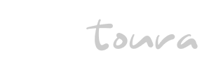 Moldtoura WordPress Theme